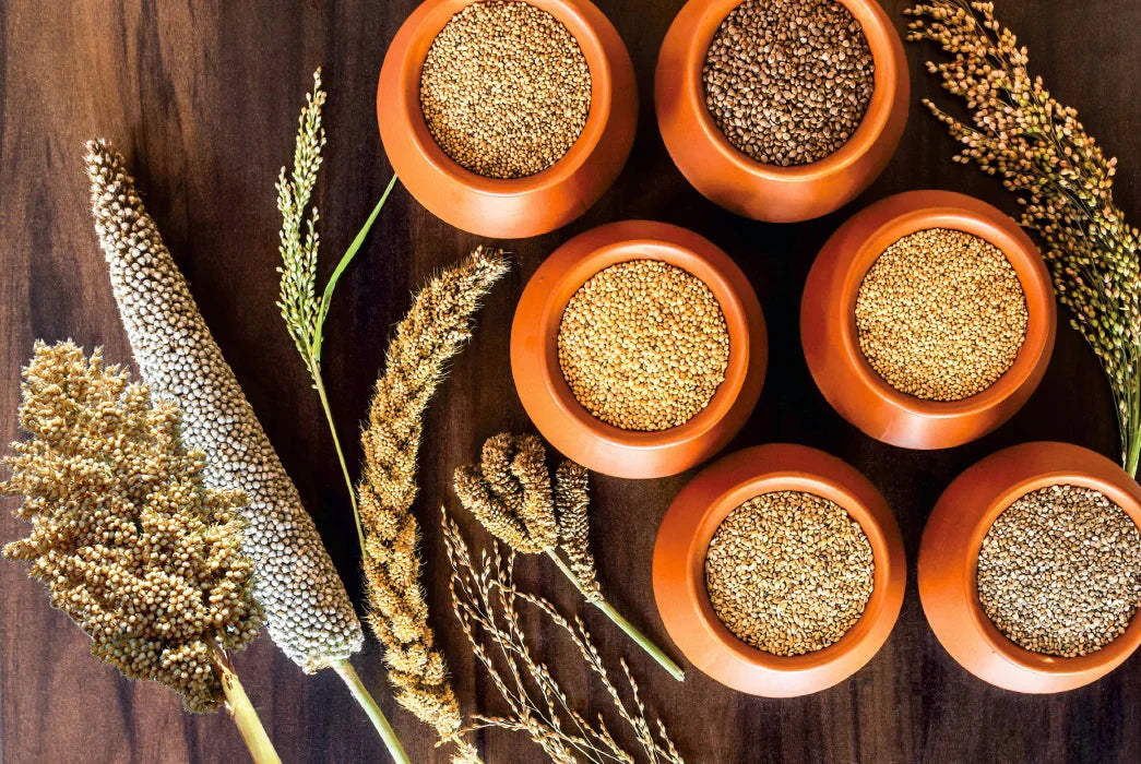 Millets in Ayurveda: Ancient Grains for Modern Wellness