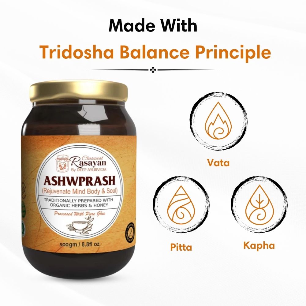 AshwPrash Super Food for Old Age Men’s & Women’s Health Support