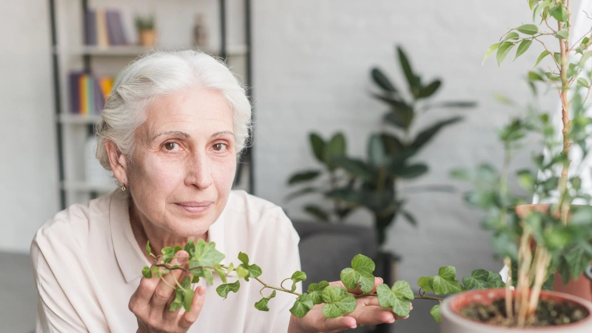Old Age